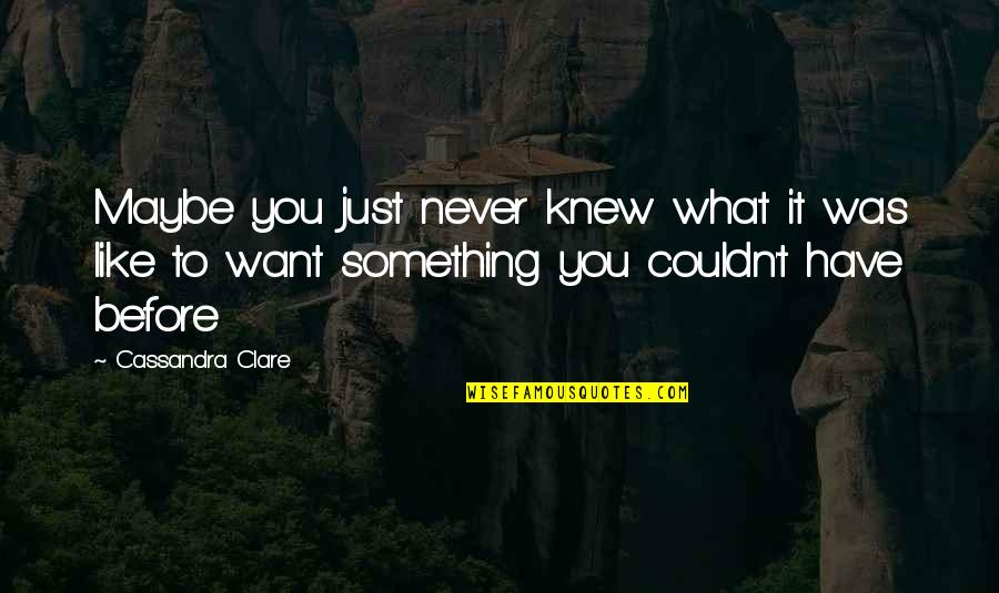 Maybe It's Just You Quotes By Cassandra Clare: Maybe you just never knew what it was Maybe It's Just You Quotes By Cassandra Clare: Maybe you just never knew what it was