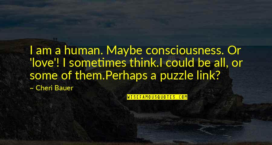 Maybe Perhaps Quotes By Cheri Bauer: I am a human. Maybe consciousness. Or 'love'!