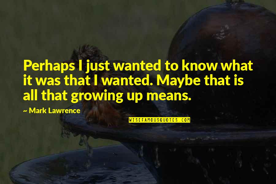 Maybe Perhaps Quotes By Mark Lawrence: Perhaps I just wanted to know what it