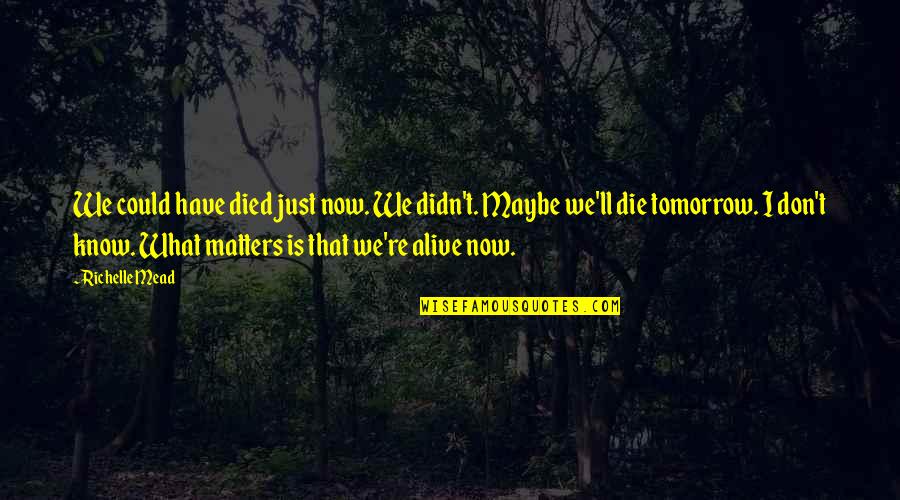 Maybe Tomorrow Quotes By Richelle Mead: We could have died just now. We didn't. Maybe Tomorrow Quotes By Richelle Mead: We could have died just now. We didn't.
