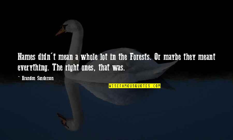 Maybe You Were Right Quotes By Brandon Sanderson: Names didn't mean a whole lot in the Maybe You Were Right Quotes By Brandon Sanderson: Names didn't mean a whole lot in the