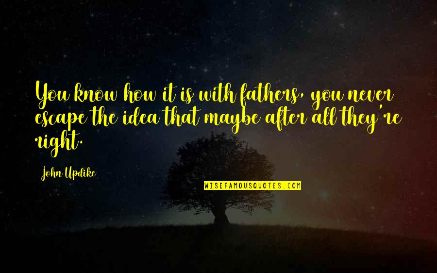 Maybe You're Right Quotes By John Updike: You know how it is with fathers, you