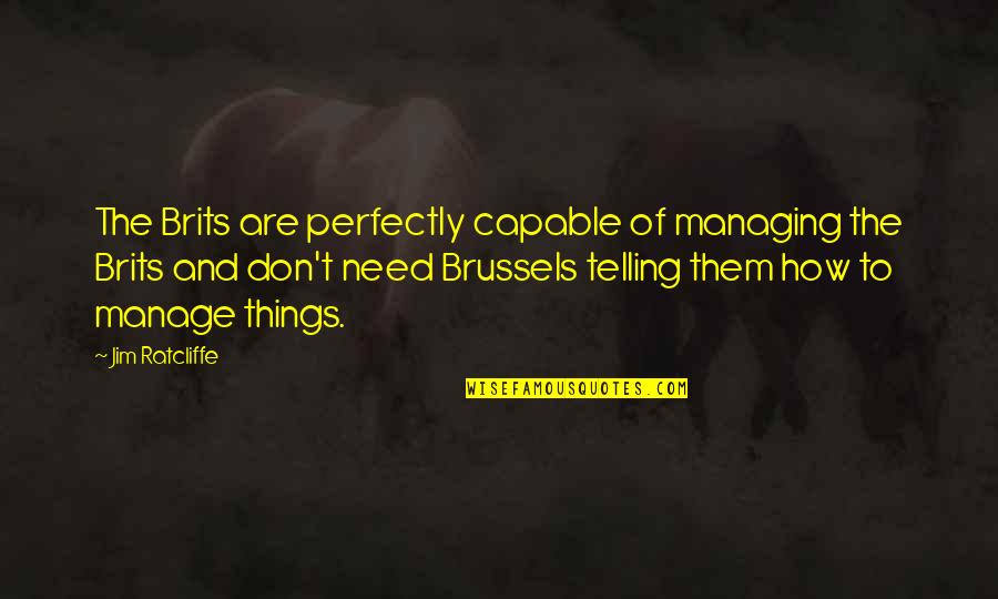 Maybeyoulikethis Quotes By Jim Ratcliffe: The Brits are perfectly capable of managing the