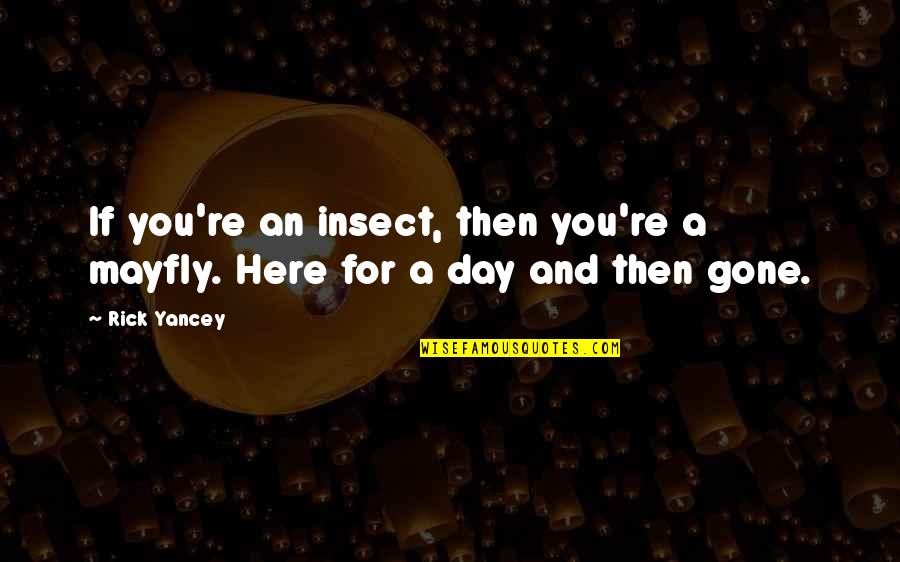 Mayfly Insect Quotes By Rick Yancey: If you're an insect, then you're a mayfly.