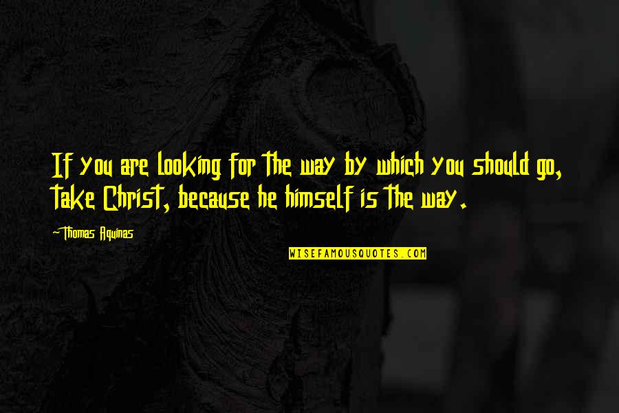 Mayfly Insect Quotes By Thomas Aquinas: If you are looking for the way by Mayfly Insect Quotes By Thomas Aquinas: If you are looking for the way by