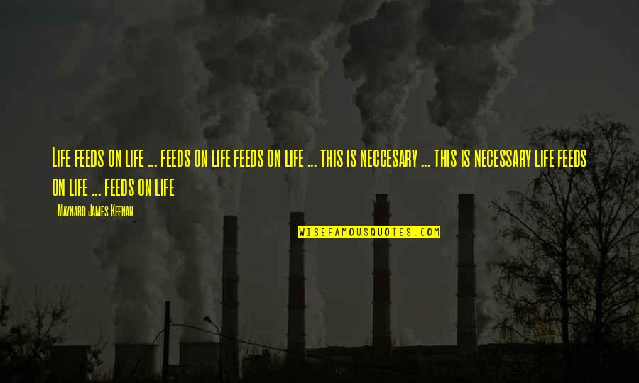 Maynard James Keenan Quotes By Maynard James Keenan: Life feeds on life ... feeds on life Maynard James Keenan Quotes By Maynard James Keenan: Life feeds on life ... feeds on life