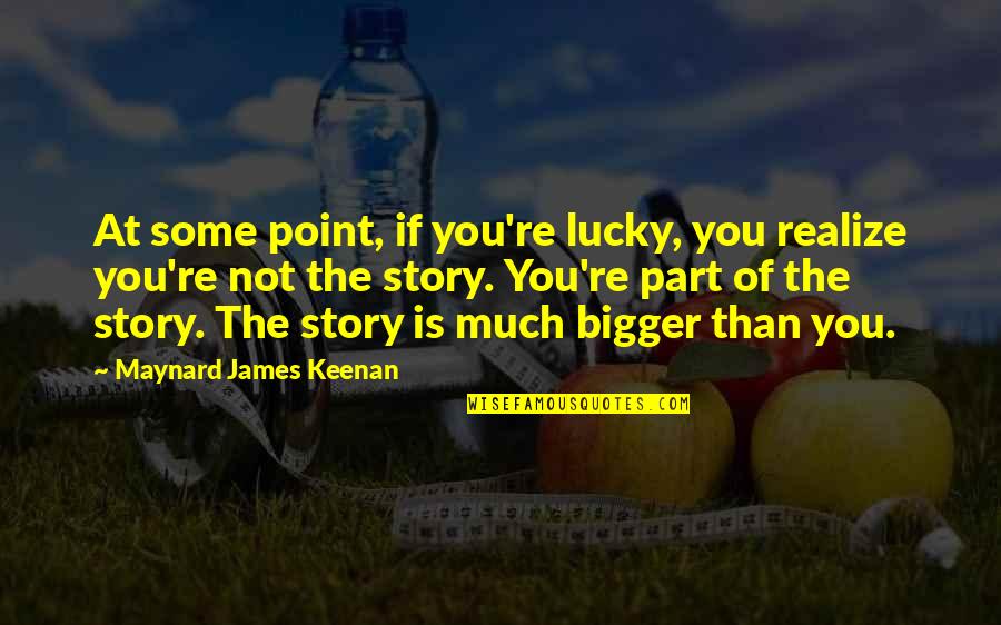 Maynard James Keenan Quotes By Maynard James Keenan: At some point, if you're lucky, you realize Maynard James Keenan Quotes By Maynard James Keenan: At some point, if you're lucky, you realize