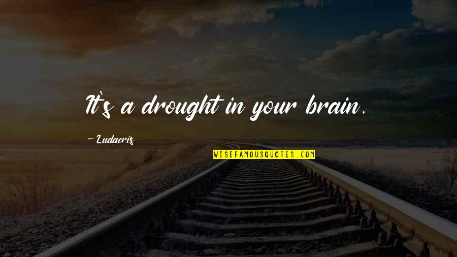 Mayormente In English Quotes By Ludacris: It's a drought in your brain.