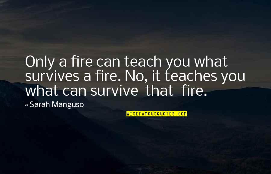 Mazankowski Blood Quotes By Sarah Manguso: Only a fire can teach you what survives
