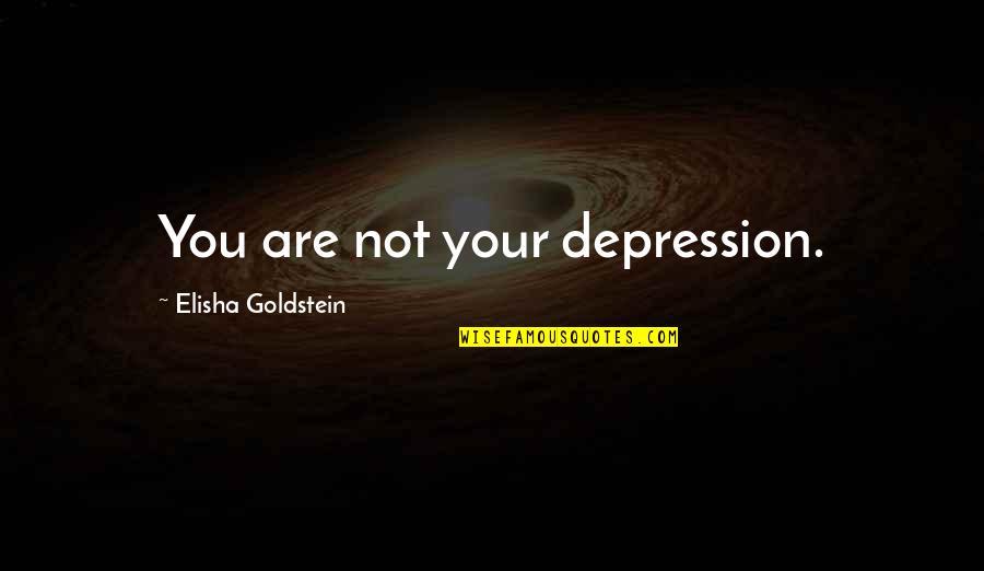 Mazer Rackham Quotes By Elisha Goldstein: You are not your depression. Mazer Rackham Quotes By Elisha Goldstein: You are not your depression.