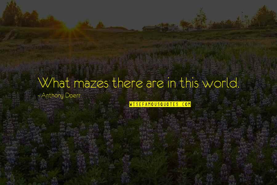 Mazes Quotes By Anthony Doerr: What mazes there are in this world.