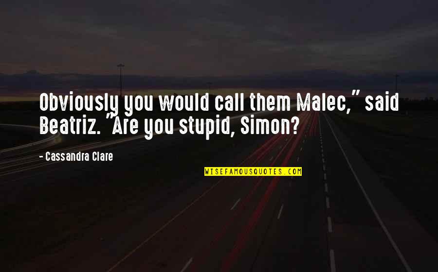 Mazhitel Quotes By Cassandra Clare: Obviously you would call them Malec," said Beatriz.