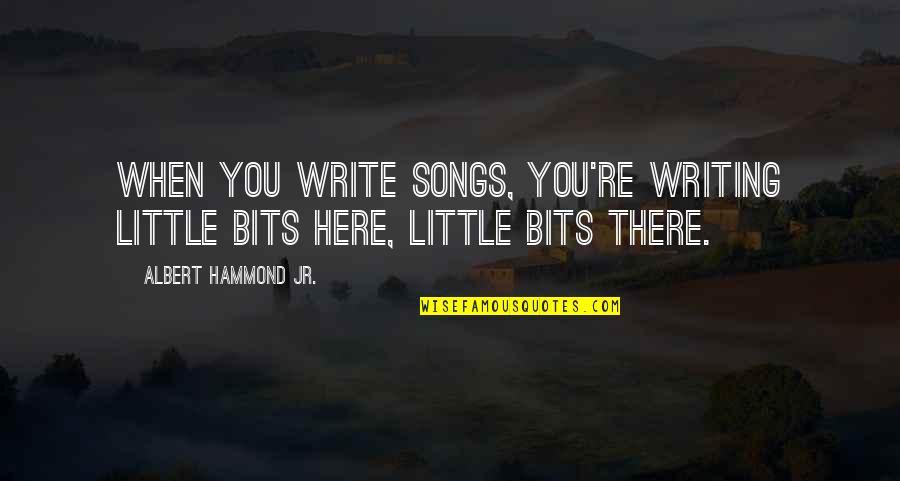 Mazzocco Zinfandel Quotes By Albert Hammond Jr.: When you write songs, you're writing little bits Mazzocco Zinfandel Quotes By Albert Hammond Jr.: When you write songs, you're writing little bits