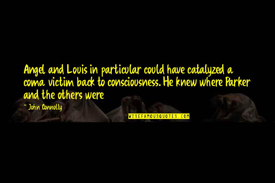 Mbugua Kamukunji Quotes By John Connolly: Angel and Louis in particular could have catalyzed Mbugua Kamukunji Quotes By John Connolly: Angel and Louis in particular could have catalyzed