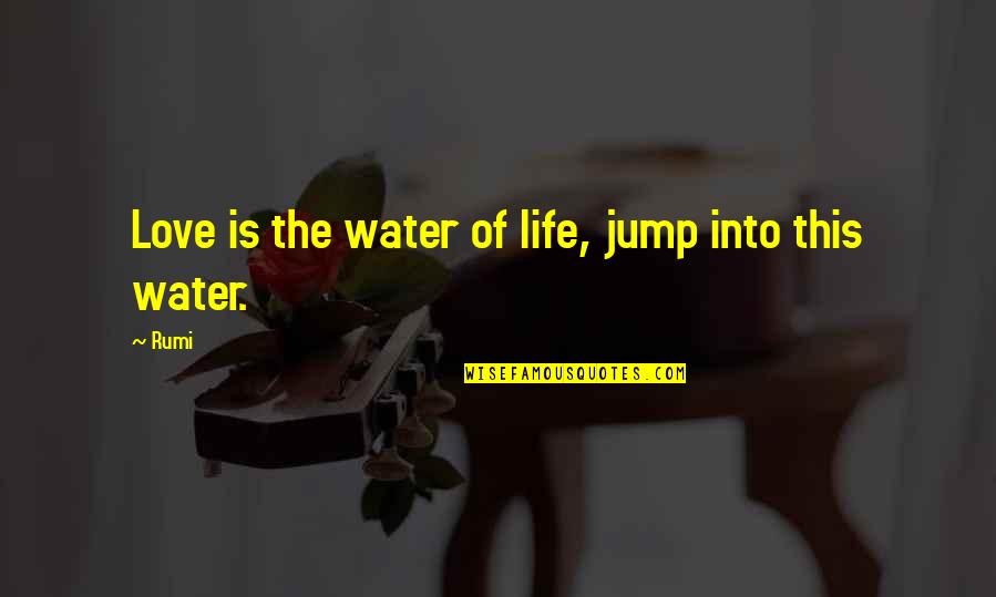 Mca Success Quotes By Rumi: Love is the water of life, jump into
