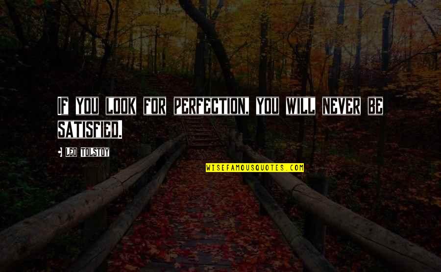 Mccannels Demon Quotes By Leo Tolstoy: If you look for perfection, you will never