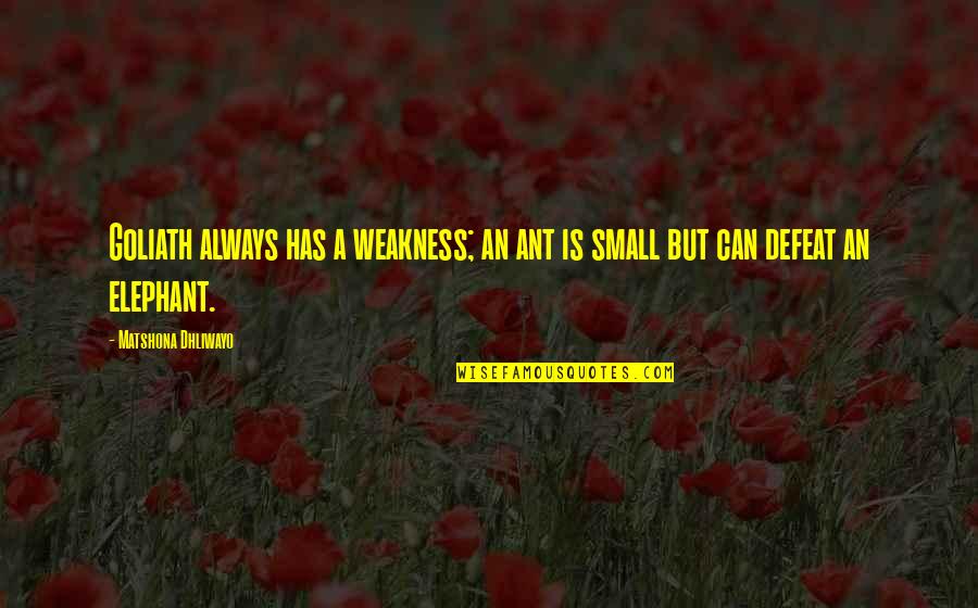 Mccardell Dresses Quotes By Matshona Dhliwayo: Goliath always has a weakness; an ant is