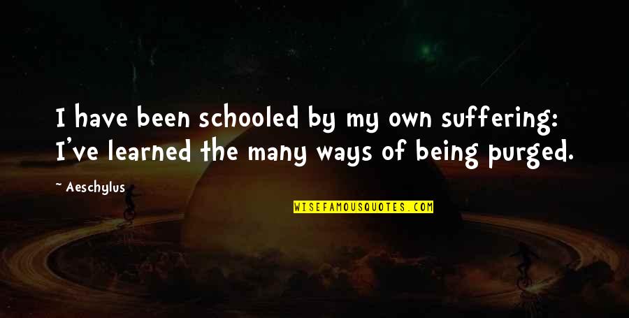 Mccarrick Allegations Quotes By Aeschylus: I have been schooled by my own suffering: