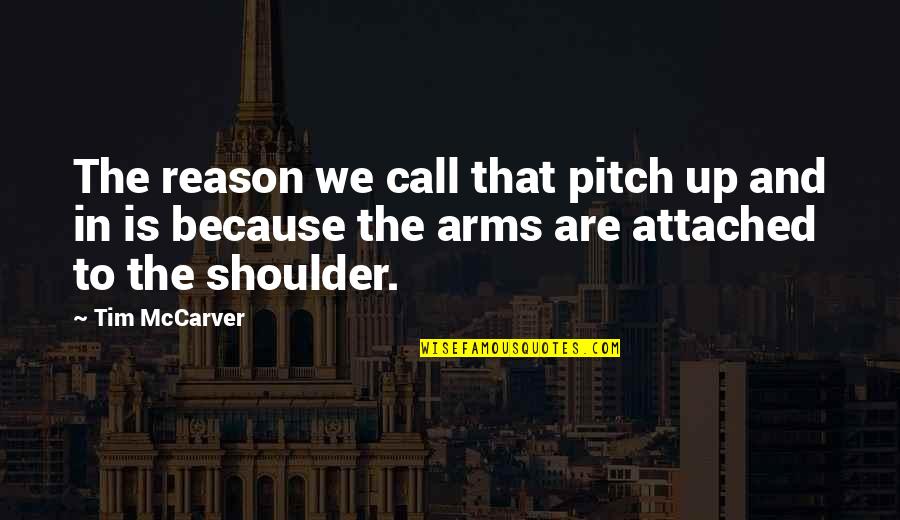 Mccarver Quotes By Tim McCarver: The reason we call that pitch up and