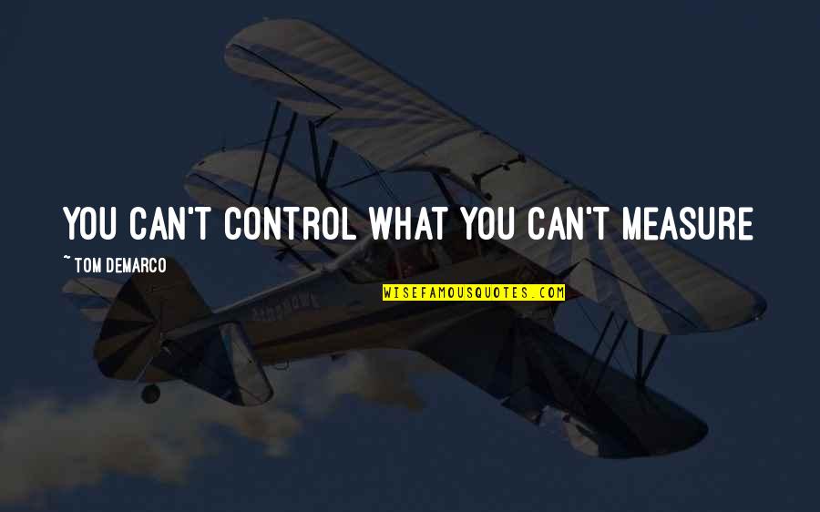 Mcclincys Quotes By Tom DeMarco: You can't control what you can't measure Mcclincys Quotes By Tom DeMarco: You can't control what you can't measure