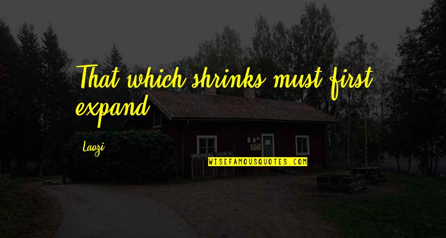Mcconachie Lots Quotes By Laozi: That which shrinks must first expand.