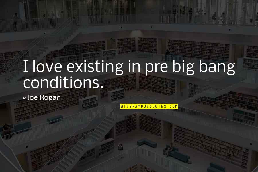 Mcconaugheys Flowers Quotes By Joe Rogan: I love existing in pre big bang conditions. Mcconaugheys Flowers Quotes By Joe Rogan: I love existing in pre big bang conditions.