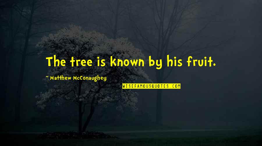 Mcconaughey's Quotes By Matthew McConaughey: The tree is known by his fruit. Mcconaughey's Quotes By Matthew McConaughey: The tree is known by his fruit.