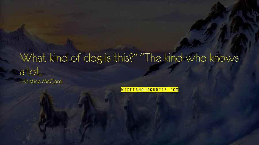 Mccord Quotes By Kristine McCord: What kind of dog is this?" "The kind