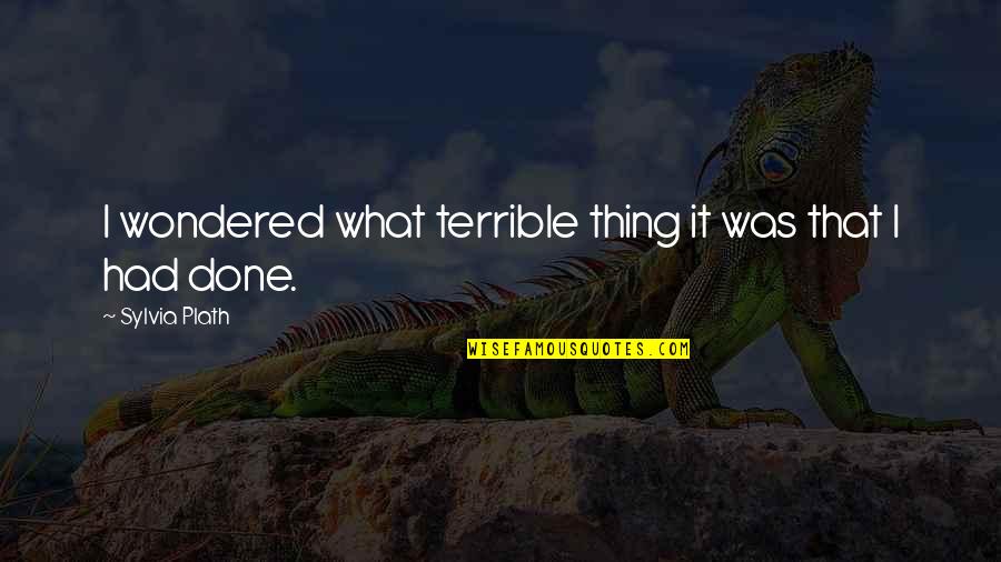 Mccranels Quotes By Sylvia Plath: I wondered what terrible thing it was that Mccranels Quotes By Sylvia Plath: I wondered what terrible thing it was that