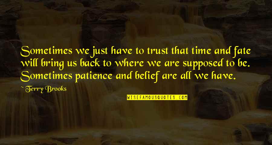 Mccurry Quotes By Terry Brooks: Sometimes we just have to trust that time Mccurry Quotes By Terry Brooks: Sometimes we just have to trust that time