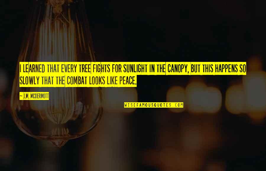 Mcdermott Quotes By J.M. McDermott: I learned that every tree fights for sunlight Mcdermott Quotes By J.M. McDermott: I learned that every tree fights for sunlight