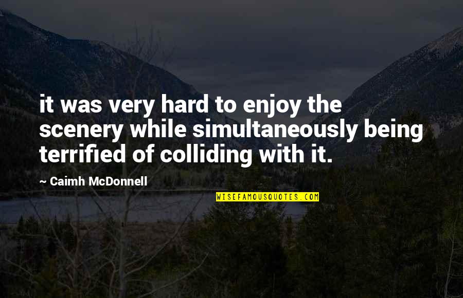 Mcdonnell Quotes By Caimh McDonnell: it was very hard to enjoy the scenery