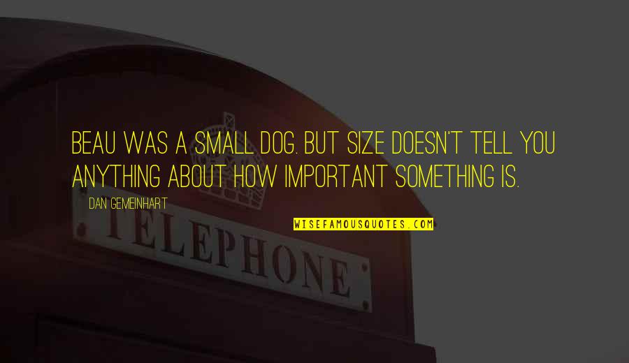 Mcelreath And Associates Quotes By Dan Gemeinhart: Beau was a small dog. But size doesn't