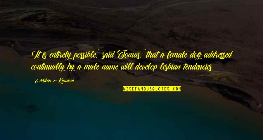 Mcelvain Oil Quotes By Milan Kundera: It is entirely possible," said Tomas, "that a