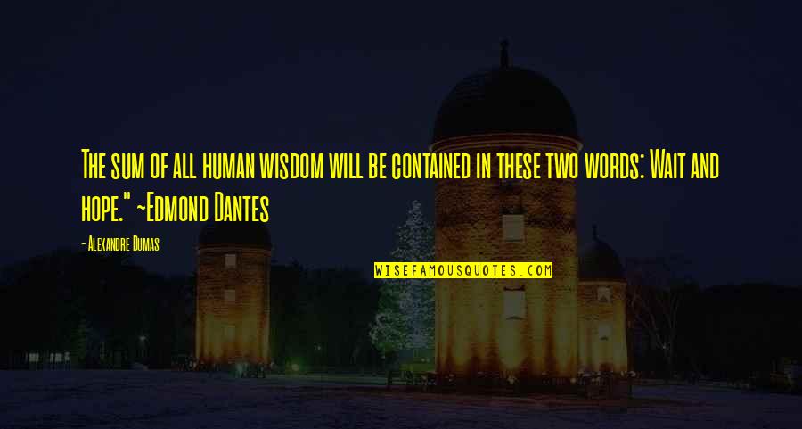 Mcfeeley Strong Quotes By Alexandre Dumas: The sum of all human wisdom will be Mcfeeley Strong Quotes By Alexandre Dumas: The sum of all human wisdom will be