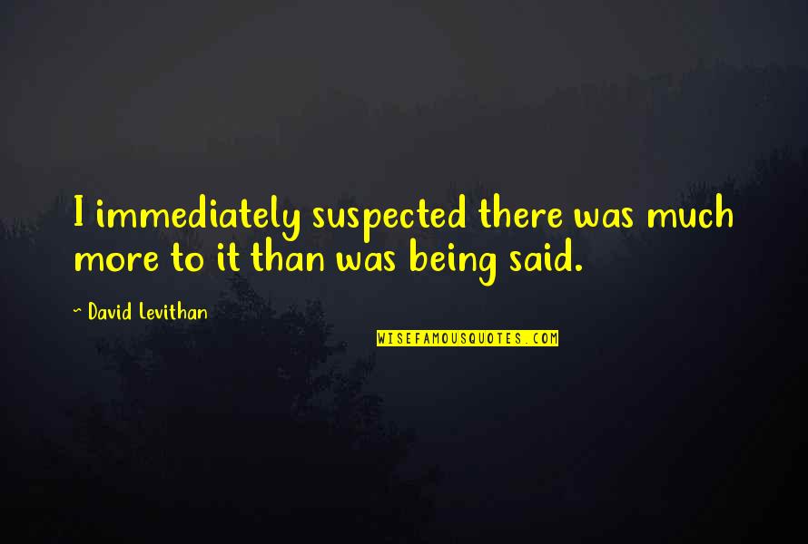 Mcgannon Center Quotes By David Levithan: I immediately suspected there was much more to