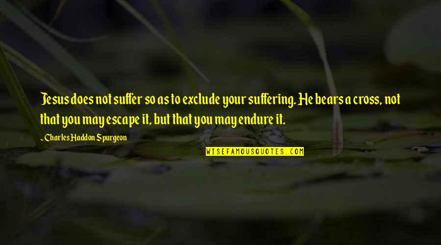 Mcgarey Partners Quotes By Charles Haddon Spurgeon: Jesus does not suffer so as to exclude