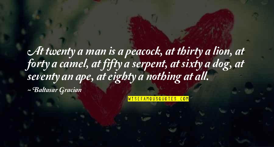 Mcgavran Hall Quotes By Baltasar Gracian: At twenty a man is a peacock, at Mcgavran Hall Quotes By Baltasar Gracian: At twenty a man is a peacock, at