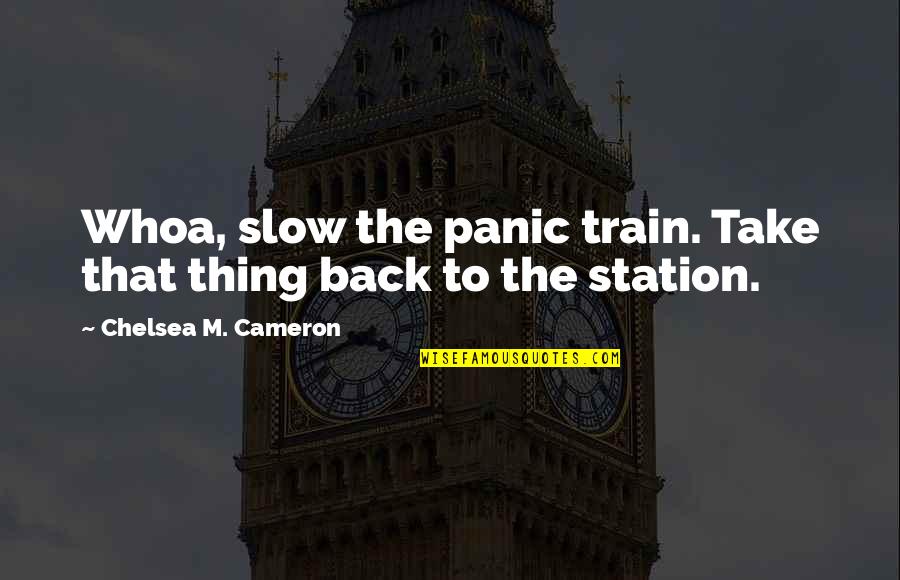 Mcgilligans Irish Pub Quotes By Chelsea M. Cameron: Whoa, slow the panic train. Take that thing