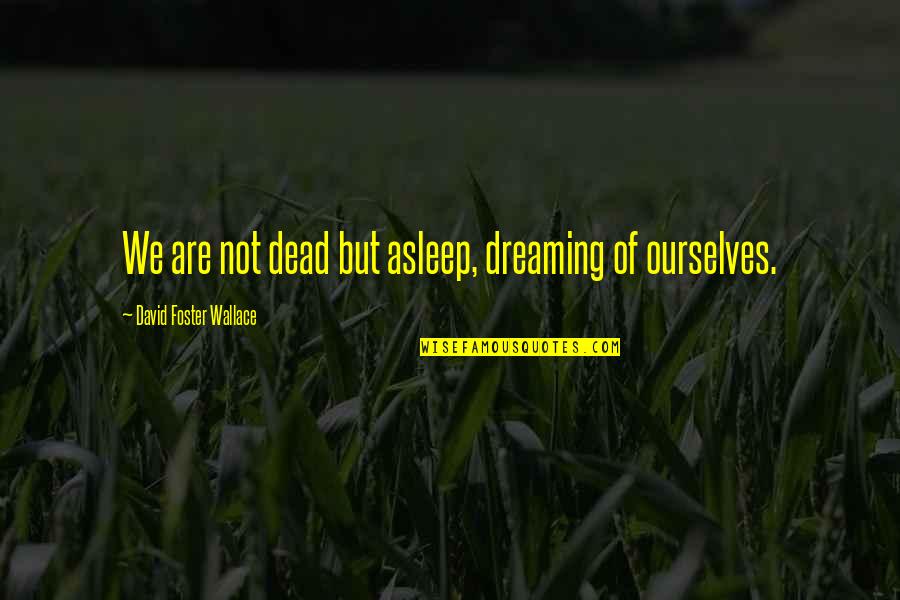 Mcginness Airfield Quotes By David Foster Wallace: We are not dead but asleep, dreaming of Mcginness Airfield Quotes By David Foster Wallace: We are not dead but asleep, dreaming of