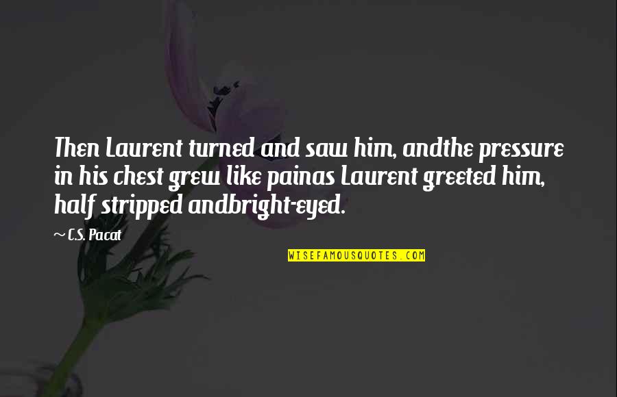 Mcglockton Death Quotes By C.S. Pacat: Then Laurent turned and saw him, andthe pressure Mcglockton Death Quotes By C.S. Pacat: Then Laurent turned and saw him, andthe pressure