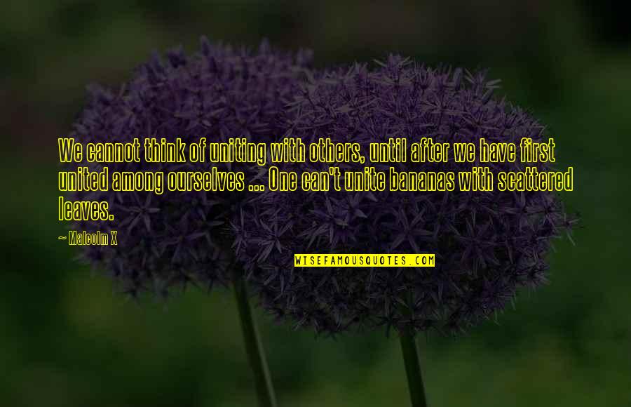 Mcglockton Death Quotes By Malcolm X: We cannot think of uniting with others, until Mcglockton Death Quotes By Malcolm X: We cannot think of uniting with others, until