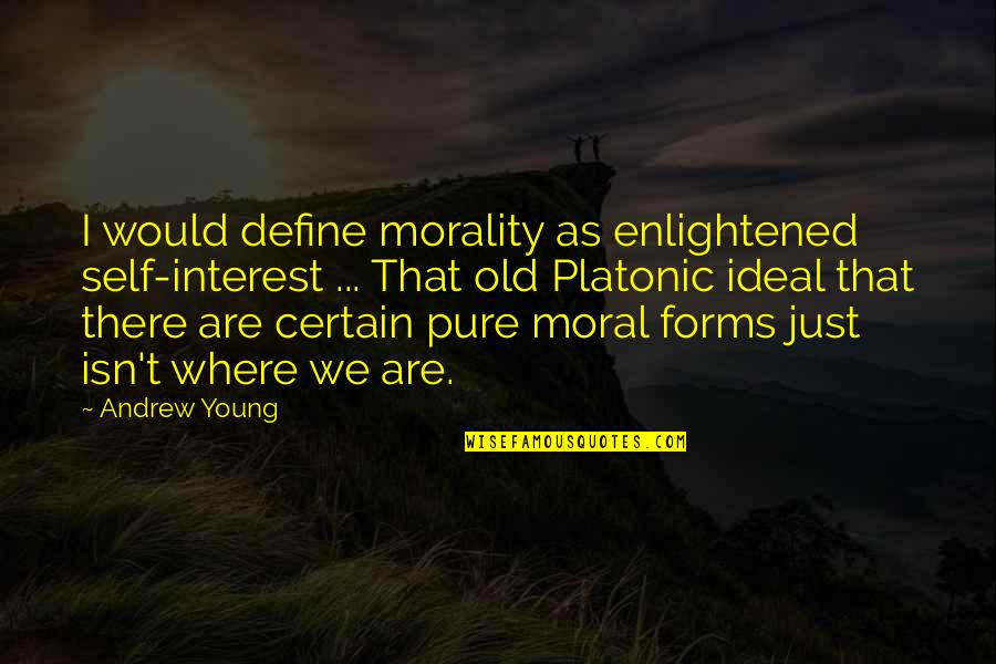 Mcgrew Quotes By Andrew Young: I would define morality as enlightened self-interest ...