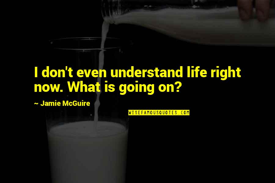 Mcguire Quotes By Jamie McGuire: I don't even understand life right now. What