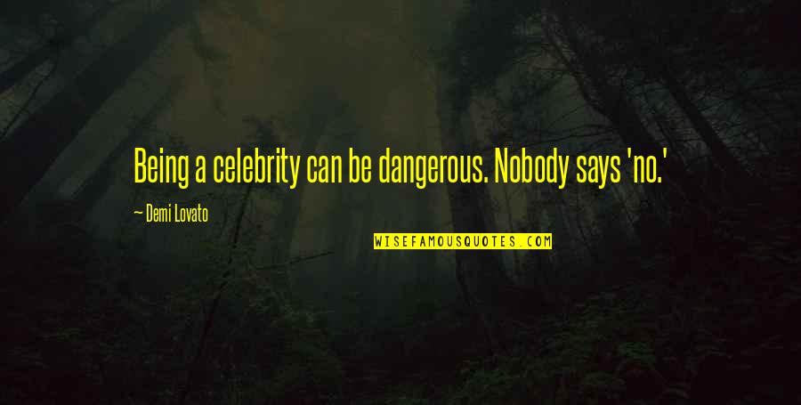 Mchaggis Scotland Quotes By Demi Lovato: Being a celebrity can be dangerous. Nobody says