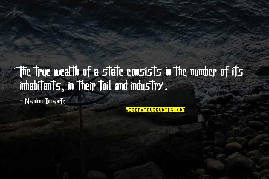 Mchargue Quotes By Napoleon Bonaparte: The true wealth of a state consists in Mchargue Quotes By Napoleon Bonaparte: The true wealth of a state consists in