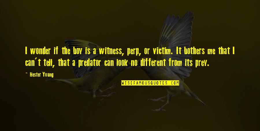 Mcilveene Quotes By Hester Young: I wonder if the boy is a witness, Mcilveene Quotes By Hester Young: I wonder if the boy is a witness,