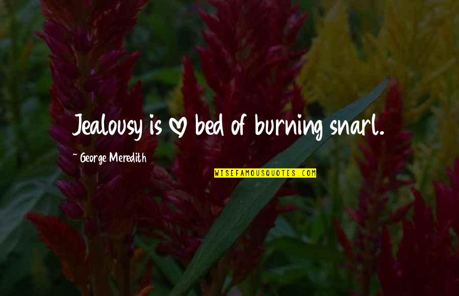Mcingvale Mental Health Quotes By George Meredith: Jealousy is love bed of burning snarl.
