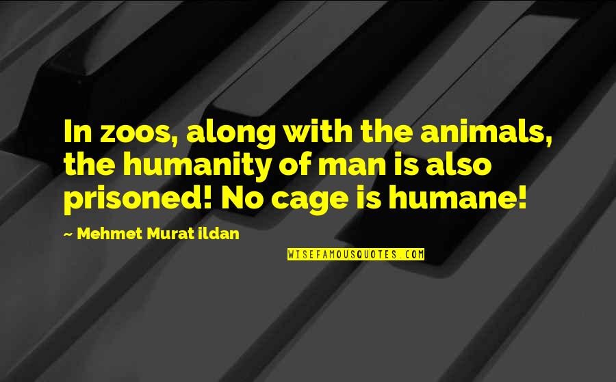 Mckendry Espn Quotes By Mehmet Murat Ildan: In zoos, along with the animals, the humanity Mckendry Espn Quotes By Mehmet Murat Ildan: In zoos, along with the animals, the humanity