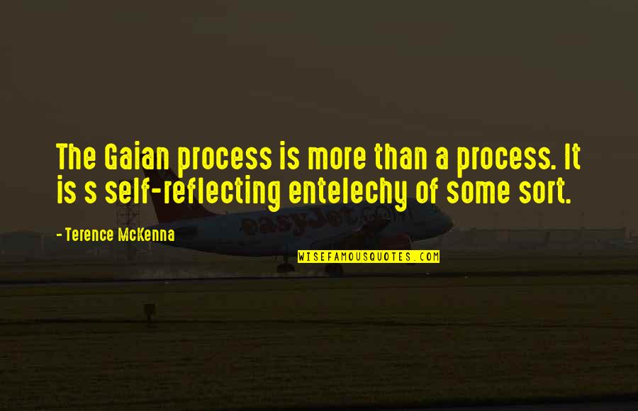 Mckenna Quotes By Terence McKenna: The Gaian process is more than a process.